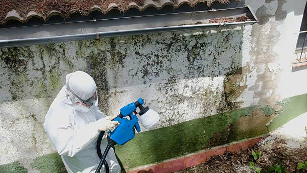 Trusted Attic Mold Removal service in Upperco, MD - Cheap Mold Removal